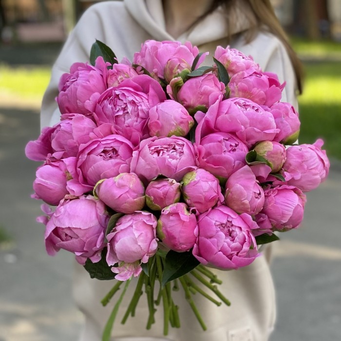 Пионы ярко-розовые Флеминг